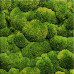 Dekor Szklany Zielony Mech 60x60 Alfa-Cer gatunek I Super Cena