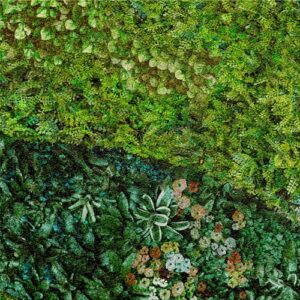MURAL GRESOWY BUXUS (TRAWNIK) 1/8 SUGAR 60X60 gatunek I