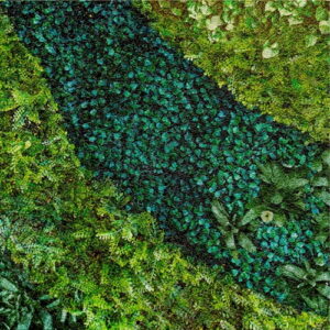 MURAL GRESOWY BUXUS (TRAWNIK) 2/8 SUGAR 60X60 gatunek I