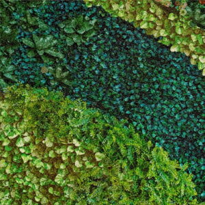 MURAL GRESOWY BUXUS (TRAWNIK) 7/8 SUGAR 60X60 gatunek I