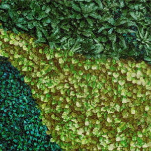 MURAL GRESOWY BUXUS (TRAWNIK) 8/8 SUGAR 60X60 gatunek I