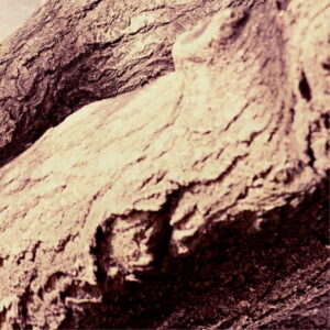 Mural gresowy 60x60 LADY TATTOO 6/6 MAT