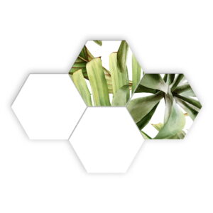 Ceramik Studio Mozaika Heksagon White & Tropik