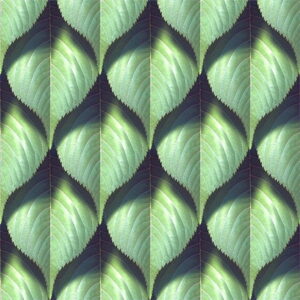 Mural gresowy 60x60 GREENWALL-2 MAT