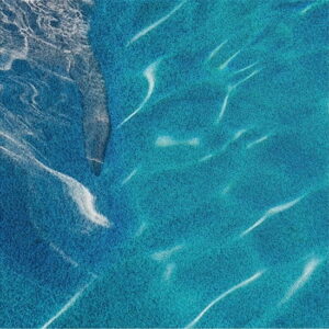 Mural gresowy 60x60 DOLPHINES SET 4/4 SUGAR