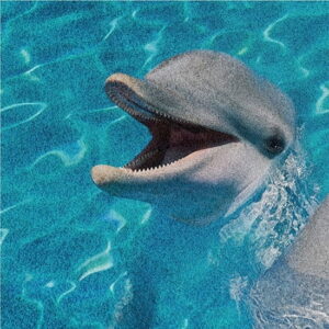 Mural gresowy 60x60 DOLPHINES SET 1/4 SUGAR