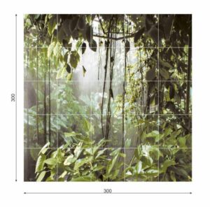Ceramik Studio Obraz Wielkoformatowy płytka gres Rain Forest 300×180
