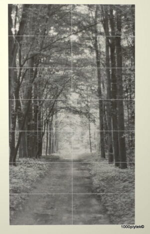 TUBĄDZIN  All in white 2 Obraz ścienny 14*29,8x59,8 gatunek I