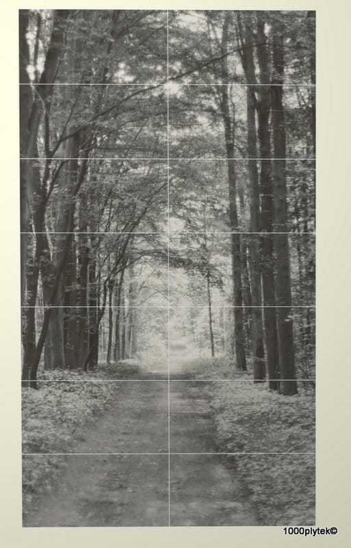 TUBĄDZIN All in white 2 Obraz ścienny 14*29,8x59,8 gatunek I