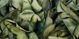 PARADYŻ   Uniwersanle Inserto Szklane Leaf A 30x60 gatunek I