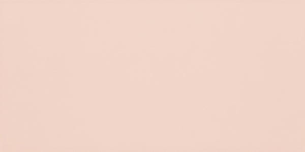 PARADYŻ Synergy Coral Ściana 30x60 gatunek I