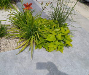 ATEM Lounge gris 20 mm gres szkliwiony rektyfikowany 60x60 gatunek I PROMOCJA transport GRATIS od 2000zł