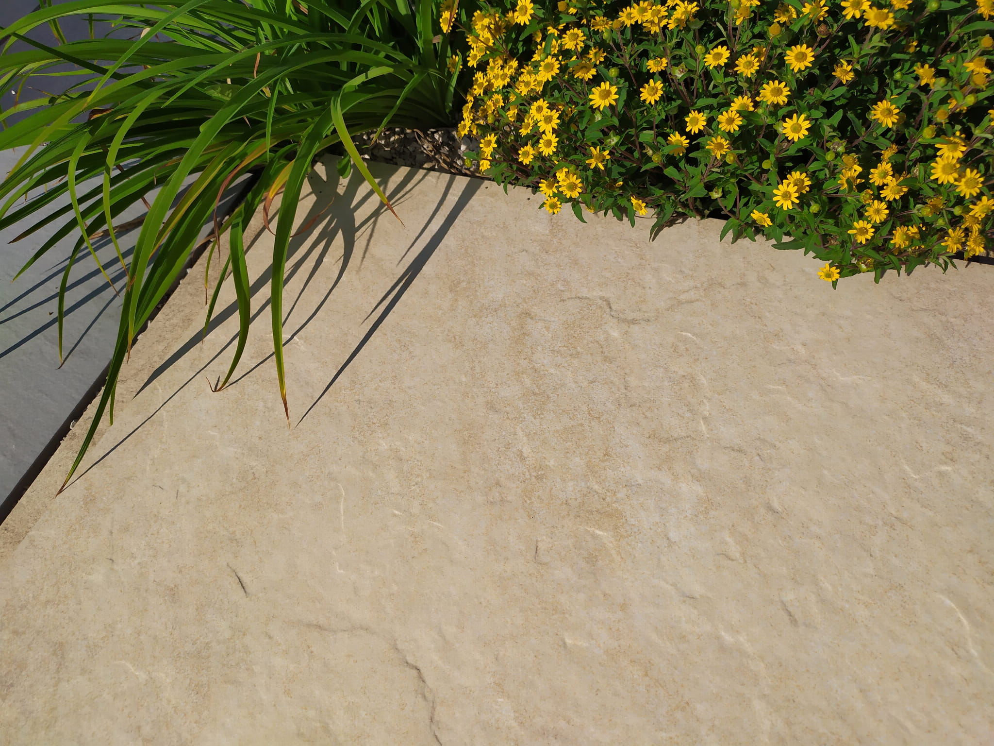 ATEM SIERRA beige 20 mm gres szkliwiony rektyfikowany 60x60 gatunek I