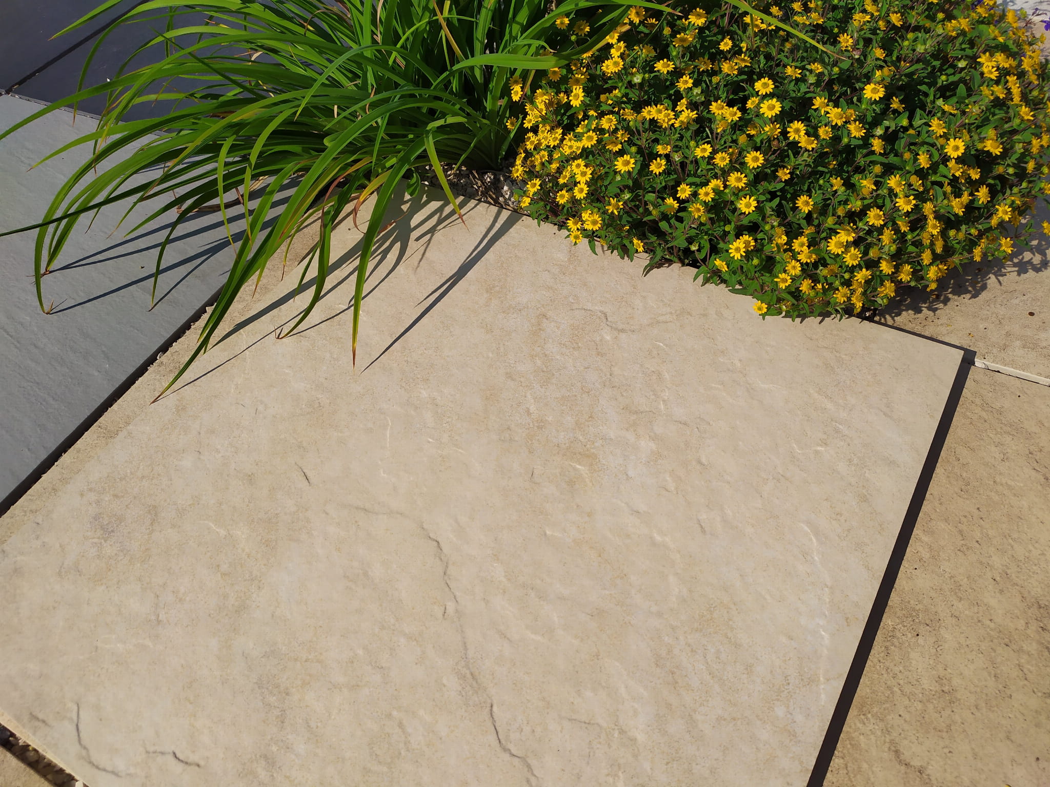 ATEM SIERRA beige 20 mm gres szkliwiony rektyfikowany 60x60 gatunek I - obrazek 8