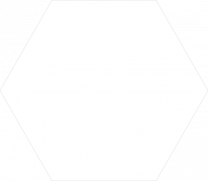 ATEM MONO WHITE MAT HEXAGON 18X21 gatunek I