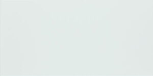 PARADYŻ Fiori Blue Ściana 30x60 gatunek I