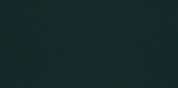 PARADYZ Porcelano Green Ściana 30x60 gatunek I