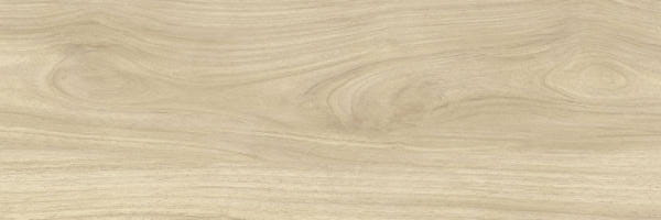 PARADYŻ LIGHTMOOD Vanilla GRES SZKL. 20X60 gatunek I