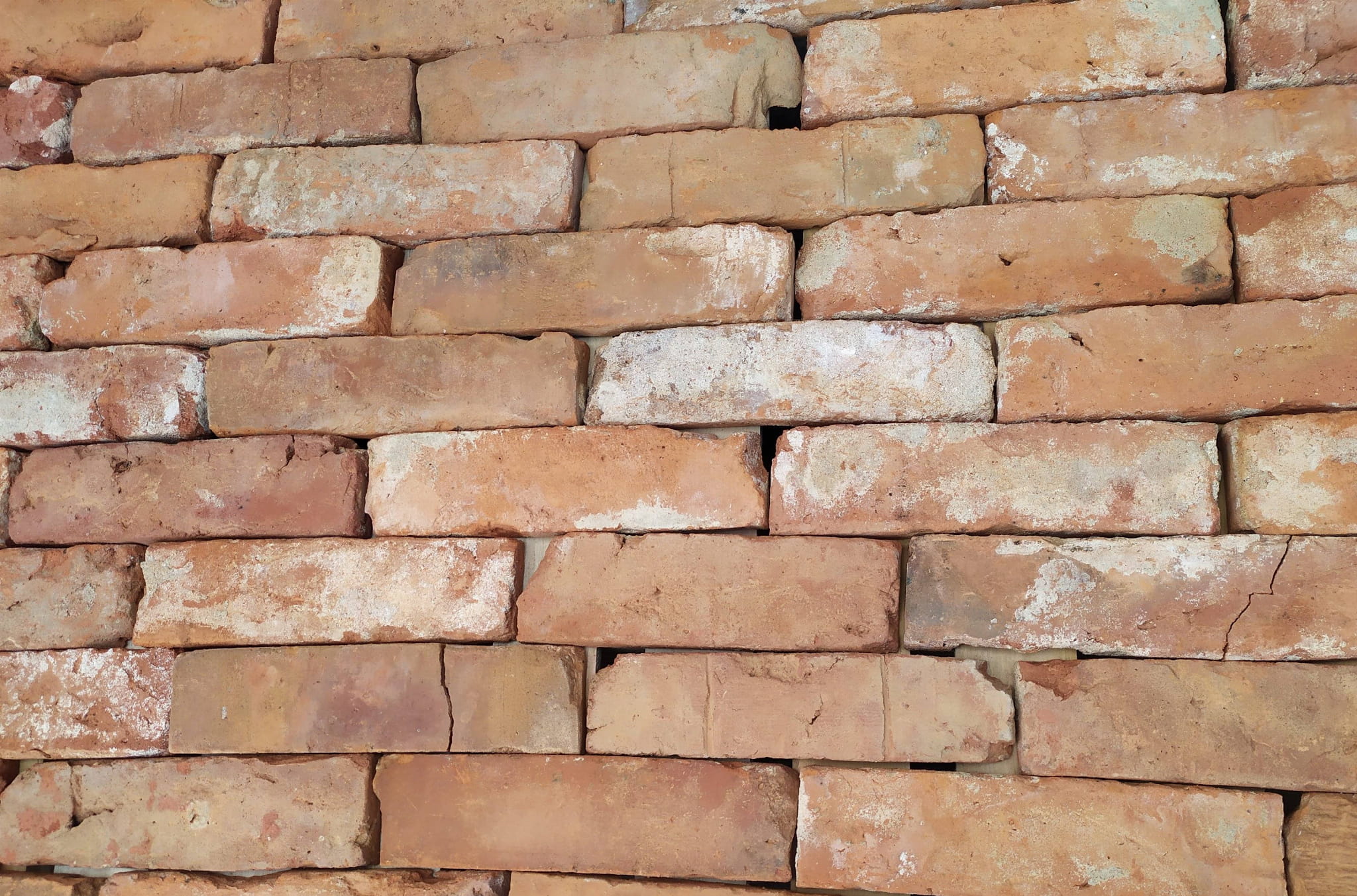 CEGŁA CIĘTA czerwona lica BRICK FACE (cena za m2) - obrazek 15