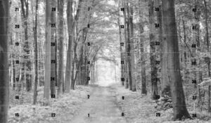 TUBĄDZIN ALL IN WHITE 2 ELEMENT UZUPEŁNIAJĄCY 29,8x59,8 gatunek I