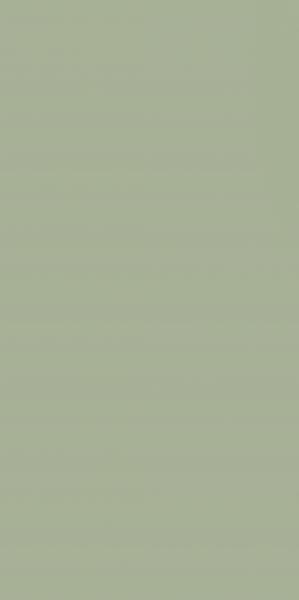 FEELINGS GREEN SCIANA REKT. 29,8X59,8 gatunek I