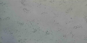 EPIKA BETON ARCHIT. 80X40 SZARY CIEMNY 0,64 M2