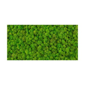 Dekor Inserto Chrobotek 30 X 60 Alfa-Cer gatunek I dostawa GRATIS od 2000 zł