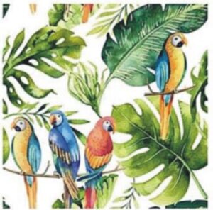 MURAL GRESOWY PARROTS WHITE 60X60 gatunek I Super Cena