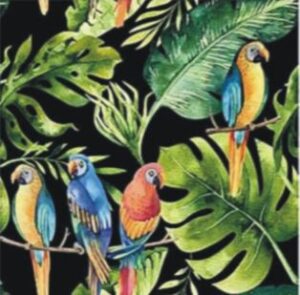 MURAL GRESOWY PARROTS black 60X60 gatunek I Super Cena