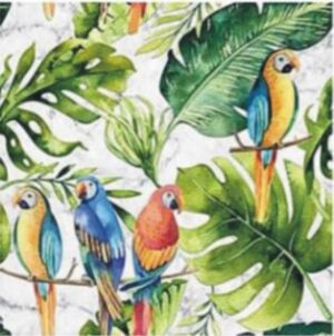 MURAL GRESOWY PARROTS marble 60X60 gatunek I Super Cena
