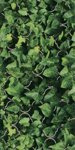 UNIWERSALNE INSERTO SZKLANE DREAM 30X60 gatunek I dostawa GRATIS od 2300 zł