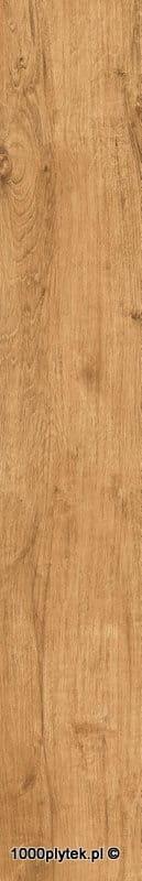 NAVARTI PRATO GOLD 20X120 gatunek I