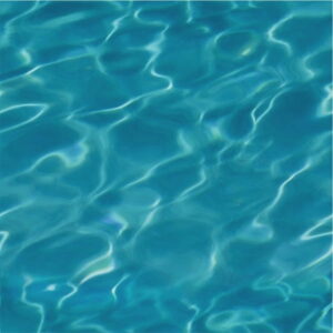 Mural gresowy 60x60 DOLPHINES WATER FAR STR gatunek I Super Cena