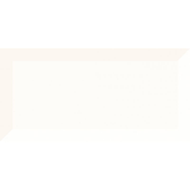 PARADYŻ TAMOE Kafel ściana Bianco 9,8 x 19,8 gatunek I