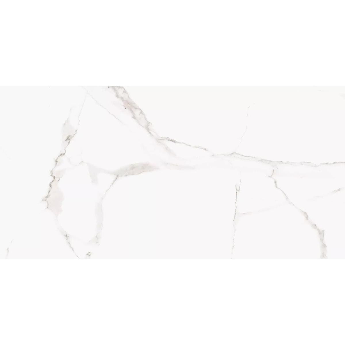 HALCON TIZIANO 120X60 gatunek I