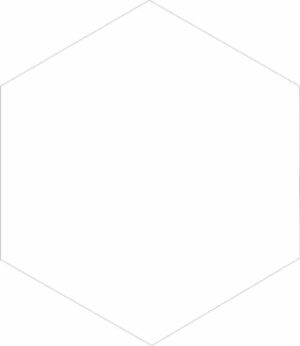 EGEN SOLID WHITE (0.69) HEXAGON 21.5X25 gatunek I dostawa GRATIS od 2500zł
