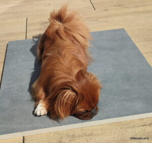 ATEM Manchester schwarz 20 mm gres szkliwiony rektyfikowany gatunek I PROMOCJA