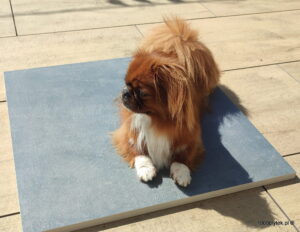 ATEM Manchester schwarz 20 mm gres szkliwiony rektyfikowany gatunek I