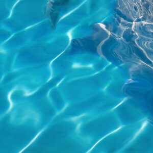 Alfa Cer Delfin Centro C 60x60 gatunek I