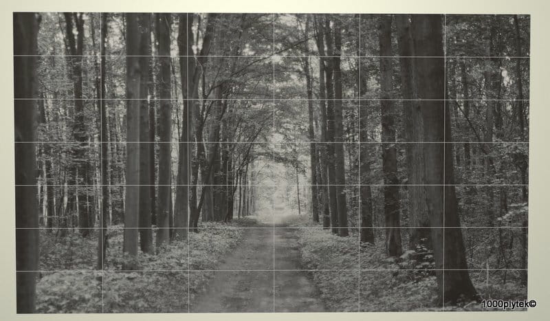 TUBĄDZIN All in white 1 Obraz ścienny 42*29,8x59,8 gatunek I